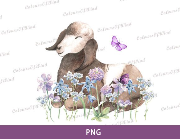 Download Watercolor Lamb Sublimation, Farm Animal - Premium Resources