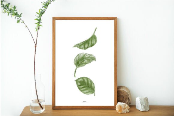 Download Green Leaves Print, Printable Art, Leaf - Leaves Collection