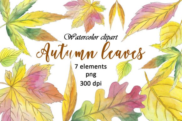Download Leaves Autumn Watercolor Clipart Maple - Leaves Collection